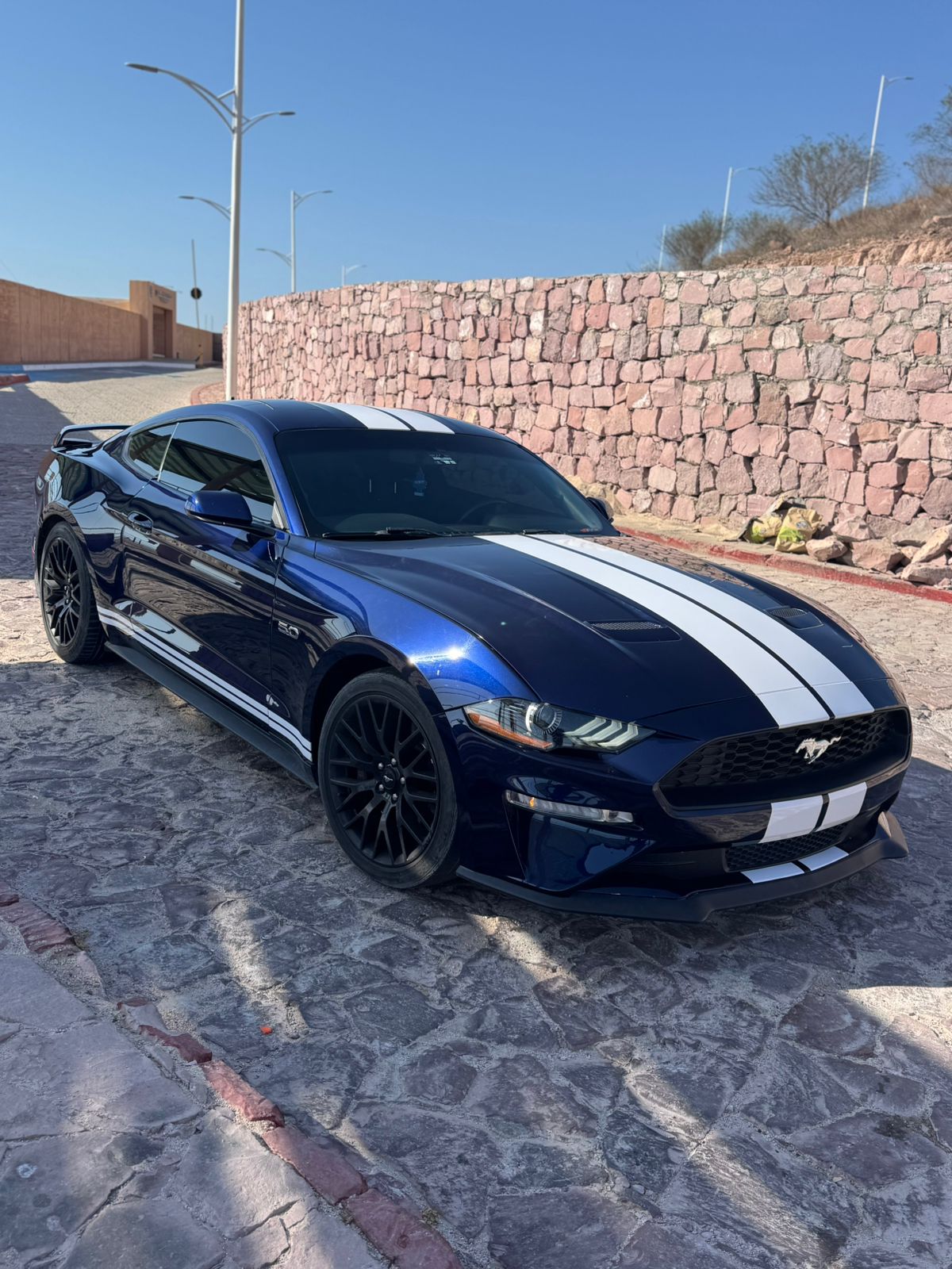 Mustang GT 2019